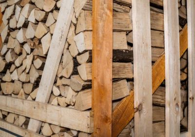 Brennholz Hainbuche 33 cm 2 RM – Bild 2